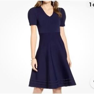 Rachel Parcell Dress Skaters Skirt in Navy Blue